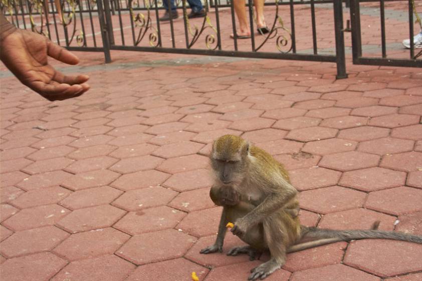 Достопримечательности Куала Лумпура